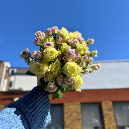 Twilight Petals