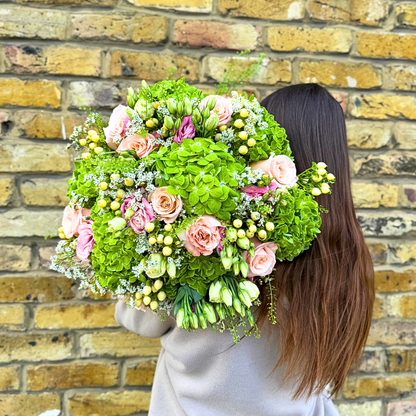 Evergreen